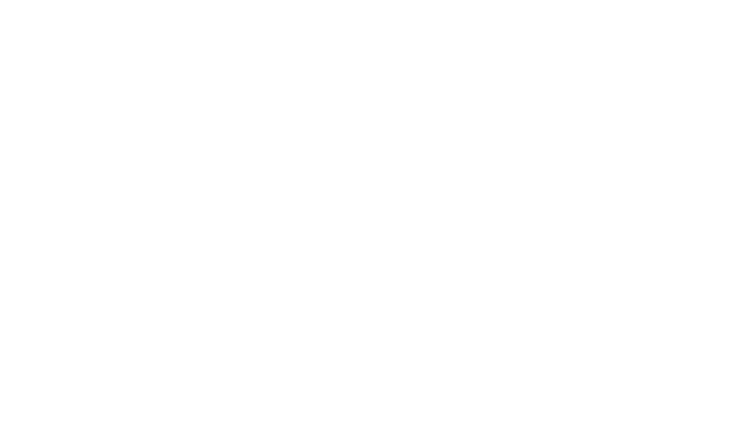 Logo Fliegenkopf